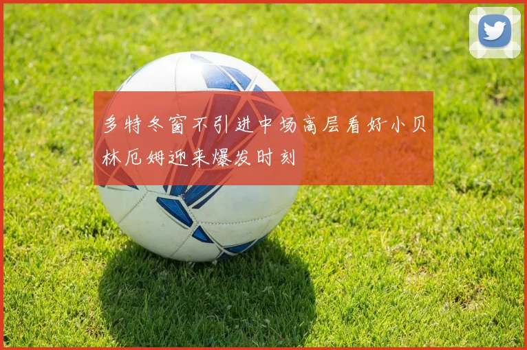 多特冬窗不引进中场高层看好小贝林厄姆迎来爆发时刻