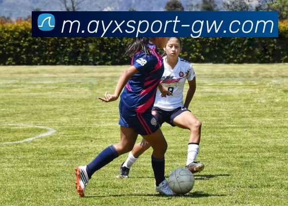 爱游戏平台生态图